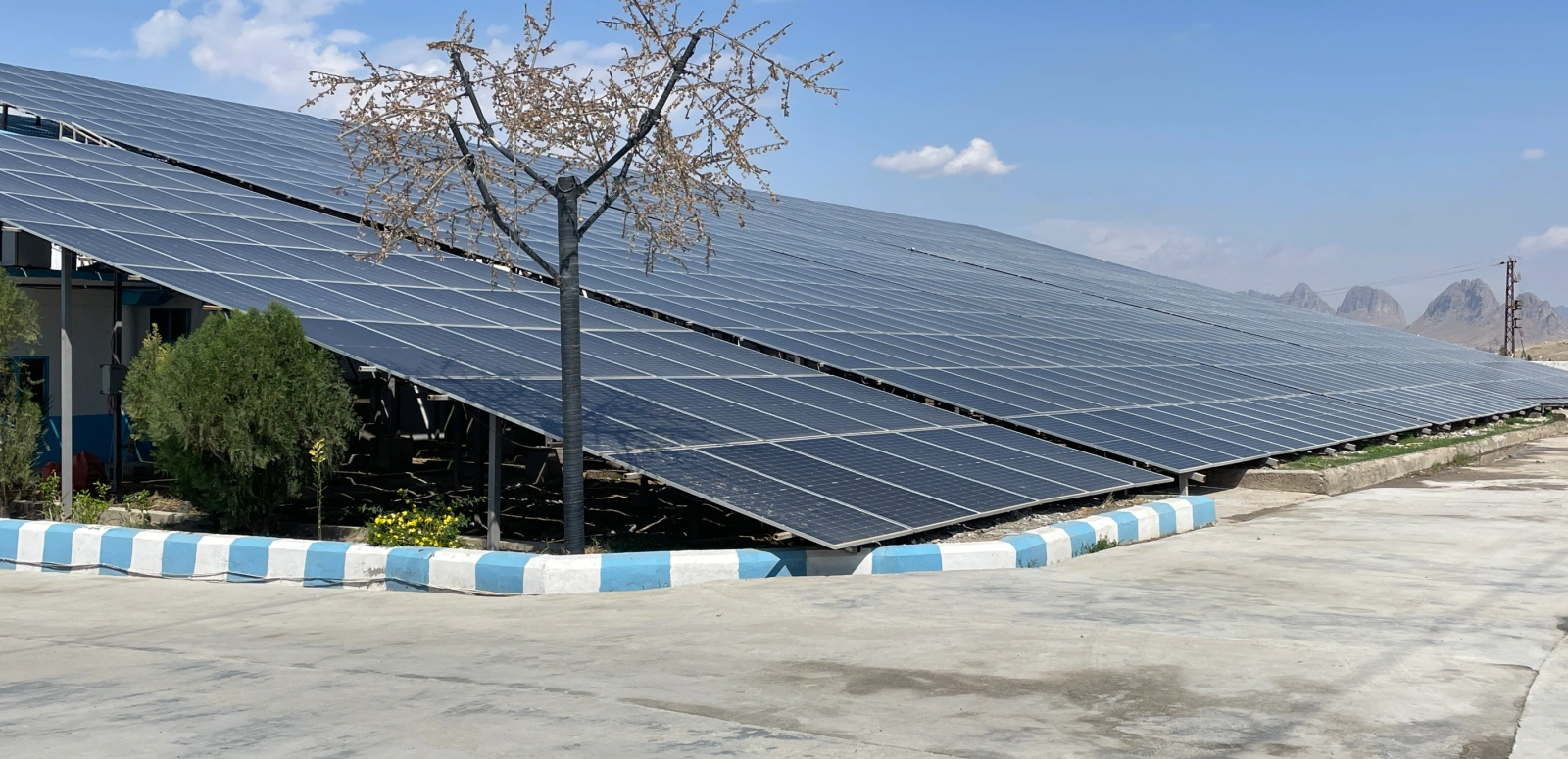 Large-scale ground-mounted solar panels installed in a commercial facility in Georgia.